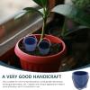 TOYANDONA Mini Bucket Model Micro Landscape Potted Plants 1.2In Metal Beach Bucket Dollhouse Accessories Miniature Garden Decor Desktop Ornament view 4