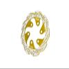 Aluminum 7075-T6 Rear Brake Disk for LOSI 1:4 Promoto-MX Motorcycle Dirt Bike RTR LOS06000 LOS06002 Upgrade Parts - Gold view 1