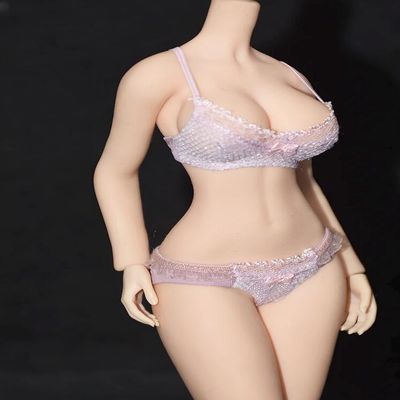 Fremego 1/6 Scale Female Clothes,Female Lace Bras Briefs Underwear Clothes Set for 12inch PH TBL JO UD Action Figure
