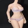 Fremego 1/6 Scale Female Clothes,Female Lace Bras Briefs Underwear Clothes Set for 12inch PH TBL JO UD Action Figure view 1