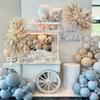 IHEPYQ Tan Balloons Double Stuffed Nude Brown Garland Apricot Different Sizes Neutral Balloon Arch Kit for Teddy Bear Baby Showers Woodland Jungle Themed Birthdays Boho Party Decorations view 4