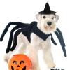 Abaodam Mini Witch Hat 5.9 Inch Handmade Cloth Small Witch Hat for Dolls Pets Halloween Party Decoration Diy Craft Accessory view 3