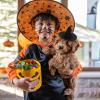 Abaodam Mini Witch Hat 5.9 Inch Handmade Cloth Small Witch Hat for Dolls Pets Halloween Party Decoration Diy Craft Accessory view 4