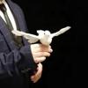 blue-ther Magic Tricks Electronic Bionic Dove Classic Funny Magic Props Stage Illusions Gimmicks for Professional Magician view 2