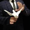 blue-ther Magic Tricks Electronic Bionic Dove Classic Funny Magic Props Stage Illusions Gimmicks for Professional Magician view 3