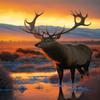 1000 Piece Adult Puzzle, Sunset Mountain Peaks Elk, Puzzle Educational Gift, Room Decor Exercise Willpower view 1
