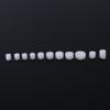 11Pcs Plastic Gears Module, Single Double Reduction Gear Worm Gear, Plastic Gear Set for DIY Car Robot Aircraft Coreless Motors view 1