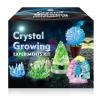 UNGLINGA Crystal Growing Experiment Science Kits for Kids, S.T.E.M Projects Learning Educational Toys Gifts Idea for Boys Girls, Grow 5 Vibrant Crystals Making Kit view 1