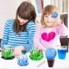 UNGLINGA Crystal Growing Experiment Science Kits for Kids, S.T.E.M Projects Learning Educational Toys Gifts Idea for Boys Girls, Grow 5 Vibrant Crystals Making Kit view 4