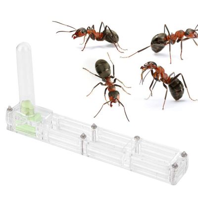 Cocoarm Acrylic Breeding Transparent Breeding Box, Formicarium Display Box Breeding Box Acrylic Breeding Farm House Display Box (Transparent nest)