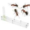 Cocoarm Acrylic Breeding Transparent Breeding Box, Formicarium Display Box Breeding Box Acrylic Breeding Farm House Display Box (Transparent nest) view 1