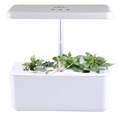 Educational Hydroponic Garden System with 7 Individual Compartments Perfect for Classroom Gardening Teaching and Learning Materials for Ages 3+ Years