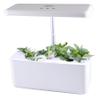 Educational Hydroponic Garden System with 7 Individual Compartments Perfect for Classroom Gardening Teaching and Learning Materials for Ages 3+ Years view 2