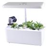 Educational Hydroponic Garden System with 7 Individual Compartments Perfect for Classroom Gardening Teaching and Learning Materials for Ages 3+ Years view 3