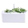 Educational Hydroponic Garden System with 7 Individual Compartments Perfect for Classroom Gardening Teaching and Learning Materials for Ages 3+ Years view 4