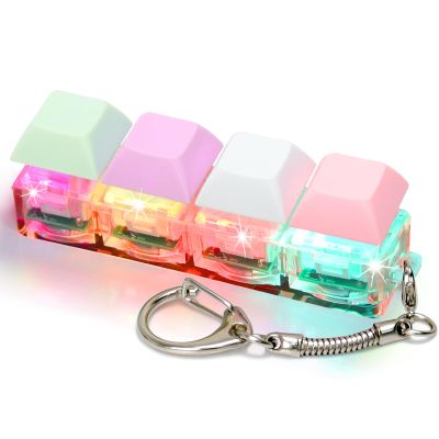 Keyboard Fidget Toys for Adults Keyboard Clicker with LED Light Keychain Fidget Sensory Fun Toys for Anxiety Decompression (Macaroon2, 4 in 1)