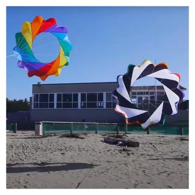 2m Snake Spinning Windsock Ring Kite Line Laundry Inflatable Show Kite for Kite Festival Best 30D Ripstop Nylon with Bag (Color : 2pcs Rainbow Black, Size : 2m)