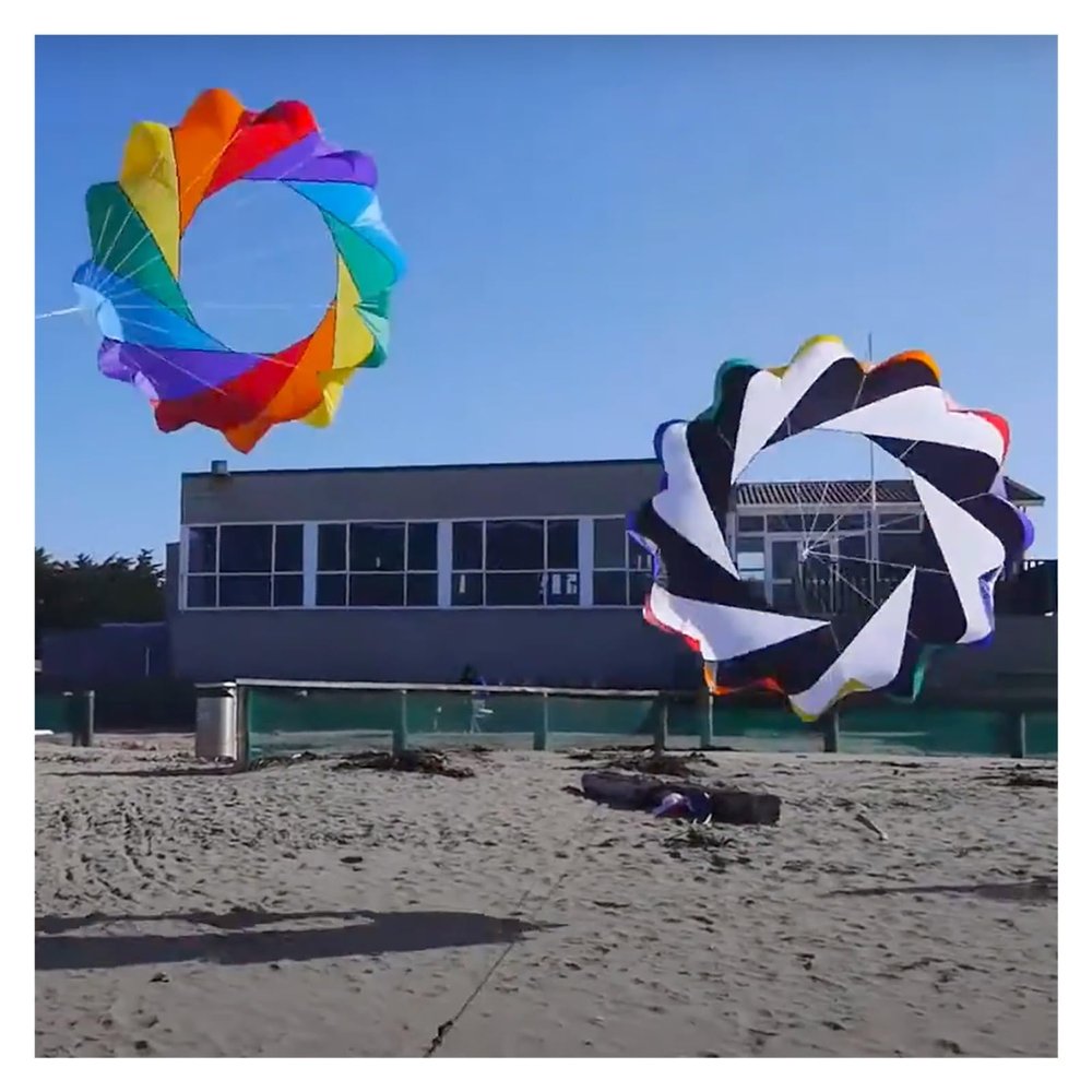2m Snake Spinning Windsock Ring Kite Line Laundry Inflatable Show Kite for Kite Festival Best 30D Ripstop Nylon with Bag (Color : 2pcs Rainbow Black, Size : 2m)