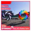 2m Snake Spinning Windsock Ring Kite Line Laundry Inflatable Show Kite for Kite Festival Best 30D Ripstop Nylon with Bag (Color : 2pcs Rainbow Black, Size : 2m) view 2