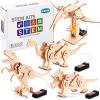 16 in 1 STEM Kits for Kids Ages 10-12, DIY Stem Craft Projects, Kids Wood Building Toys, Wooden 3D Puzzles Model Kit for Boys to Build,Educational Science Set for Age 8 9 10 11 12 Year view 4