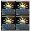 4x | Pearl Medallion | Anime | Full Art | Foil or Non-Foil (Foil) view 1