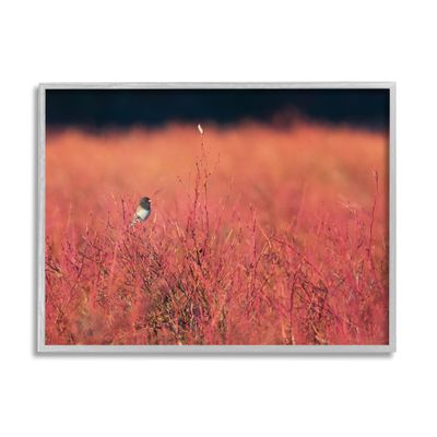 'Bird in Red Field'| Framed Giclee Art
