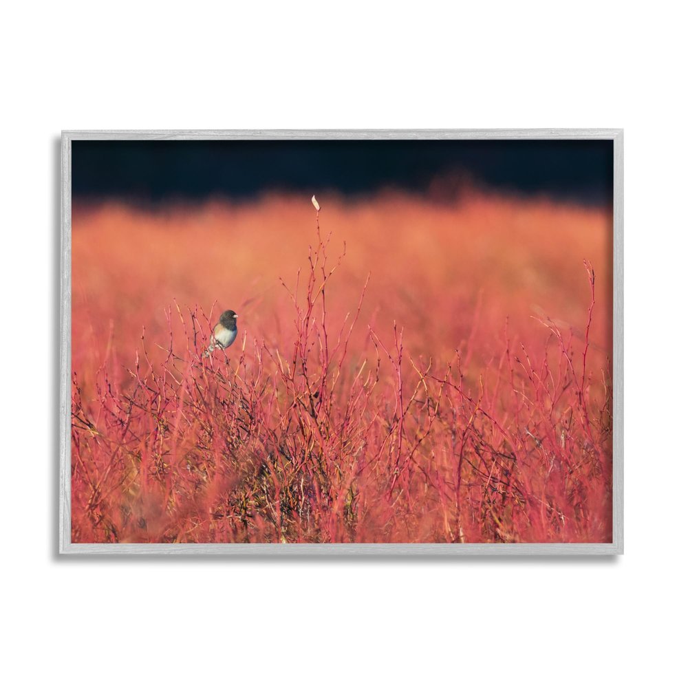 'Bird in Red Field'| Framed Giclee Art