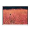 'Bird in Red Field'| Framed Giclee Art view 1