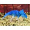 Beasts of The Mesozoic: Glow-in-The-Dark Dinosaur 3-Pack - 4" Velociraptor, Protoceratops & Psittacosaurus - 1/18th Scale Action Figures, Collectible view 2
