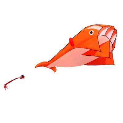 Xiaojikuaipao Soft Kite Without Frame for Orange Paragliding Kite for Dolphin