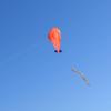 Xiaojikuaipao Soft Kite Without Frame for Orange Paragliding Kite for Dolphin view 4