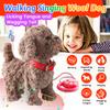 Teddy Walking Barking Dog Toy Singing Puppy Set, Repeat What You Say Teddy with Control Leash Electronic Dog, Touch or Voice Control Realistic Robot Musical Dancing Animated Plush Pet for Toddler view 2