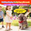 Teddy Walking Barking Dog Toy Singing Puppy Set, Repeat What You Say Teddy with Control Leash Electronic Dog, Touch or Voice Control Realistic Robot Musical Dancing Animated Plush Pet for Toddler view 3
