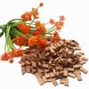 Cayway Mini Red Wall Bricks - 560 Pcs, Ideal for Landscaping, Dollhouse Miniature Gardens view 4
