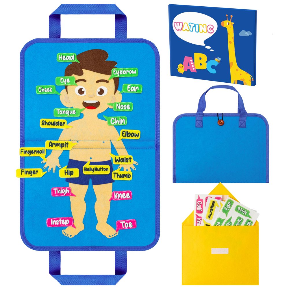 WATINC Body Parts Learning Portable Felt Story Board Set, 32PCS Preschool Human Organ Educational Teaching Storytelling Travel Board, Early Interactive Play Kit Gift for Toddler Kid (White)