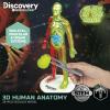 Discovery 3D Human Anatomy Biology Model Kit, 28-Piece Glow-in-The-Dark Human Body Model Skeleton, Interactive Learning & Education Toys Ages 8+ view 2