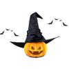 AYILUOBE Halloween Women Witch Hat Ruched Cone Wizard Cap Wide Brim Wicked Witch Hat for Cosplay Party Costume Accessory view 4