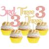 24 Pack 3rd Birthday Cupcake Toppers Glitter Third Birthday Three Cupcake Picks for Baby Shower 3rd Birthday Anniversary Party Cake Decorations Supplies Gold Pink Rose Gold view 1