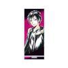 (Armabianca) TV Anime Durarara!!x2 Izaya Orihara Ani Art Vol. 2 Big Acrylic Stand view 1