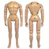 12 Inch 1/6th Scale Super Articulated Type S Male Action Figure Body [Flesh] view 1
