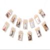 13 Sheets Baby Shower Photo Banner 1st Birthday Photo Banner for Baby from Newborn to 12 MonthsDiy Photo Banner KitFirst Birthday Photo BannerPersonalized Photo GarlandMilestone Photo Banner12 view 1