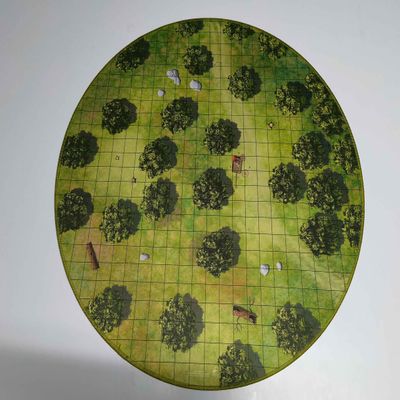 24" Diameter Forest Road Playmat with 1" Grid Stitched Edging, Double-Sided with Universal Dungeon Terrain