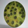24" Diameter Forest Road Playmat with 1" Grid Stitched Edging, Double-Sided with Universal Dungeon Terrain view 1