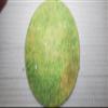 24" Diameter Grassland Playmat with 1" Grid Stitched Edging, Double-Sided with Universal Dungeon Terrain view 2