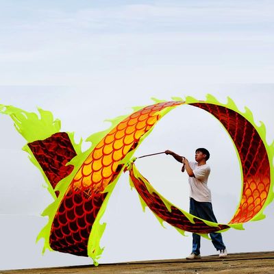 6 Meters (19.6 FT) Square Exercise Dragon Poi with 340g Weighted Ball and 1.2 Meters Swing Rope, Outdoor Flinging Fitness Dragon Dance Wu Long 3D Dragon Ribbon Streamer (Golden Dragon)