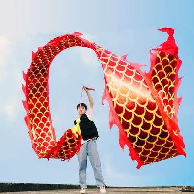 6 Meters (19.6 FT) Square Exercise Dragon Poi with 340g Weighted Ball and 1.2 Meters Swing Rope, Outdoor Flinging Fitness Dragon Dance Wu Long 3D Dragon Ribbon Streamer (Red Dragon)