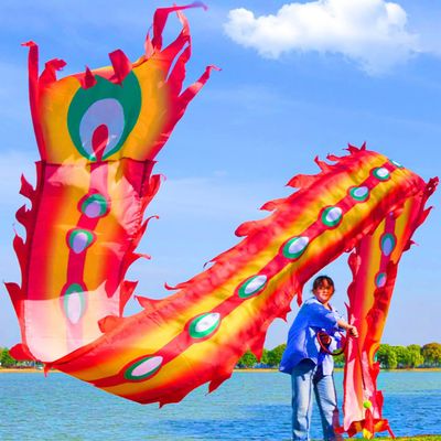 6 Meters (19.6 FT) Square Exercise Dragon Poi with 340g Weighted Ball and 1.2 Meters Swing Rope, Outdoor Flinging Fitness Dragon Dance Wu Long 3D Dragon Ribbon Streamer (Fire Phoenix)