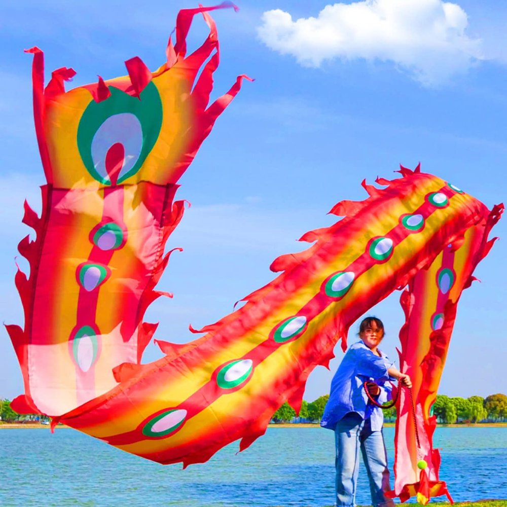 6 Meters (19.6 FT) Square Exercise Dragon Poi with 340g Weighted Ball and 1.2 Meters Swing Rope, Outdoor Flinging Fitness Dragon Dance Wu Long 3D Dragon Ribbon Streamer (Fire Phoenix)