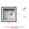 iLuane Display Wallboard for 76910, Adult Collectibles Wall Mount, Home or Office Dcor (No Car Included) view 2
