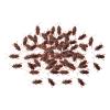 TOOYFUL 100x Fake Cockroach Toy Artificial Cockroach Halloween Mischief Toy Funny Mischief Gifts Tricky Toys Realistic Cockroaches for Party Holiday, L view 1